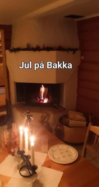 Hovin Bakka 빌라 외부 사진